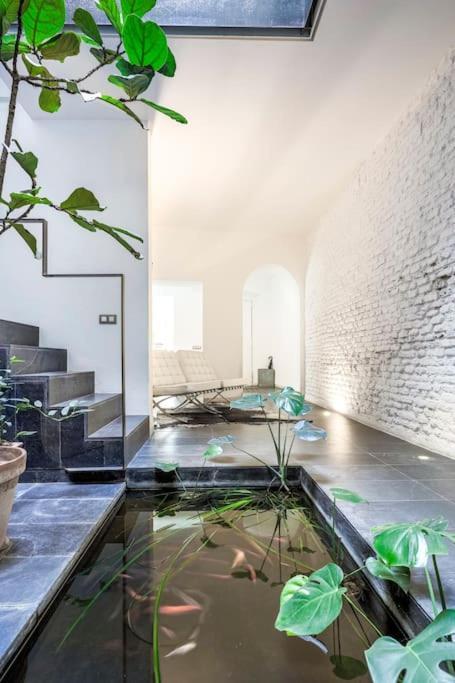 Exclusivo Apartamento De Diseno Centro Sevilla Matahacas Bajo المظهر الخارجي الصورة