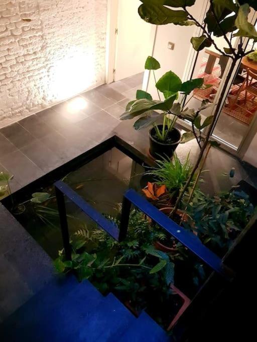 Exclusivo Apartamento De Diseno Centro Sevilla Matahacas Bajo المظهر الخارجي الصورة