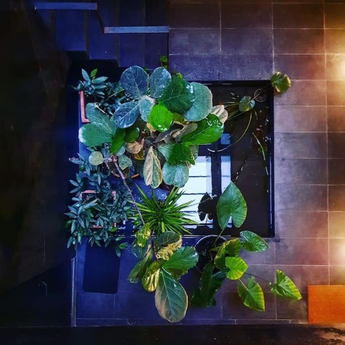 Exclusivo Apartamento De Diseno Centro Sevilla Matahacas Bajo المظهر الخارجي الصورة
